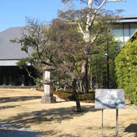 d0033734_17573816.jpg