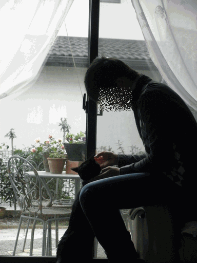 c0136736_9484741.gif