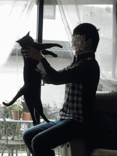 c0136736_9492028.gif