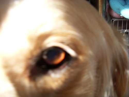 c0218443_12452464.jpg