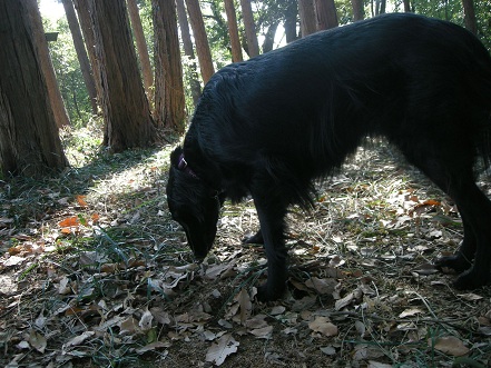 f0107145_21354110.jpg