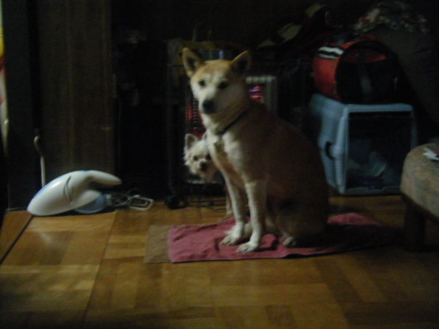 b0072650_06231.jpg
