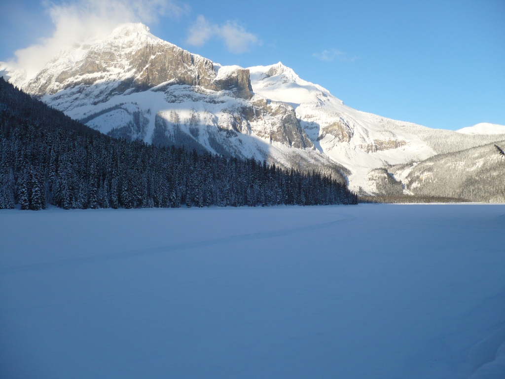 f0214562_7523240.jpg