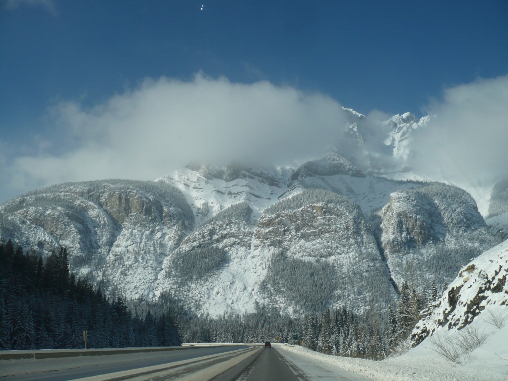 f0214562_8111475.jpg