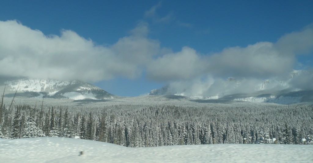 f0214562_8122254.jpg