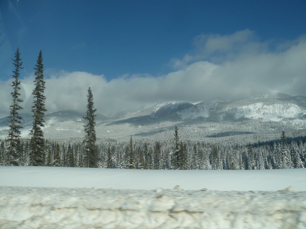 f0214562_8132524.jpg