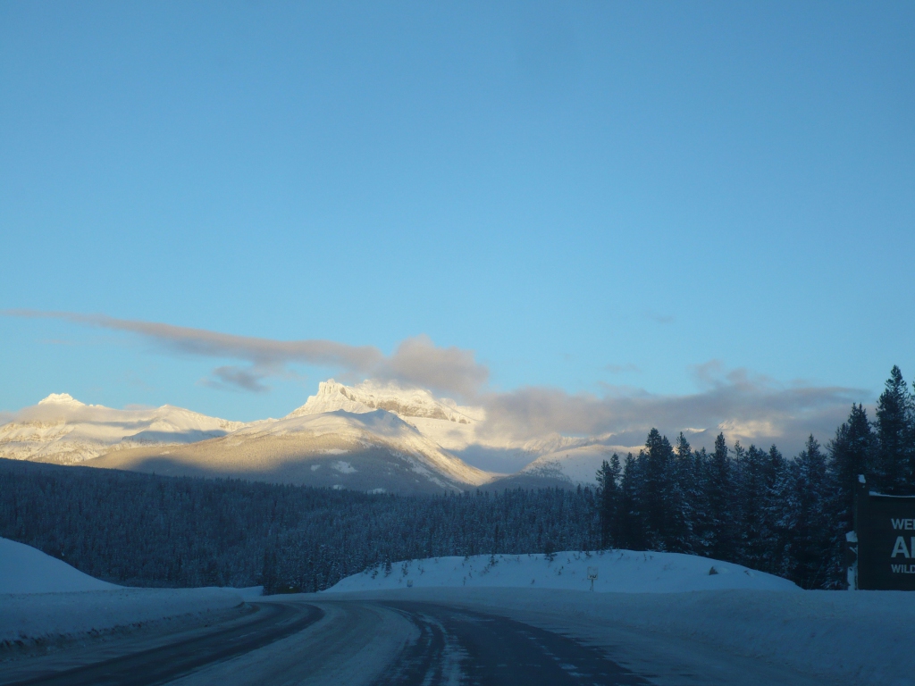 f0214562_813548.jpg