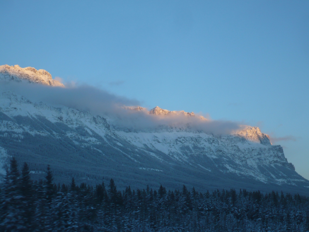 f0214562_8153974.jpg