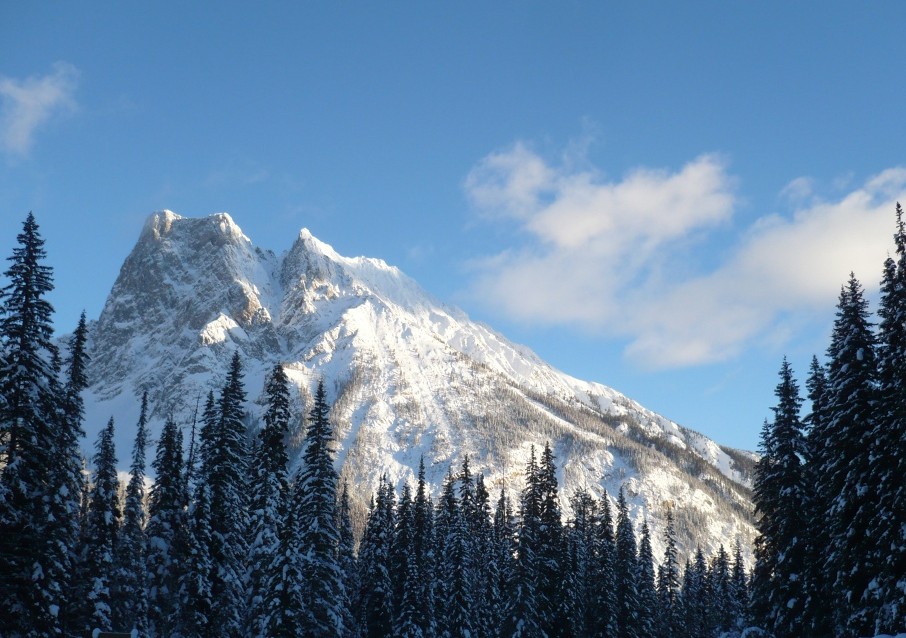 f0214562_822181.jpg