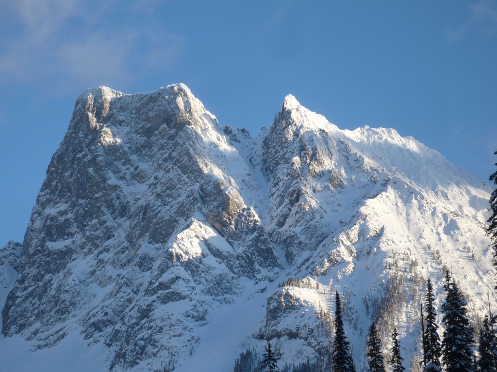f0214562_83189.jpg
