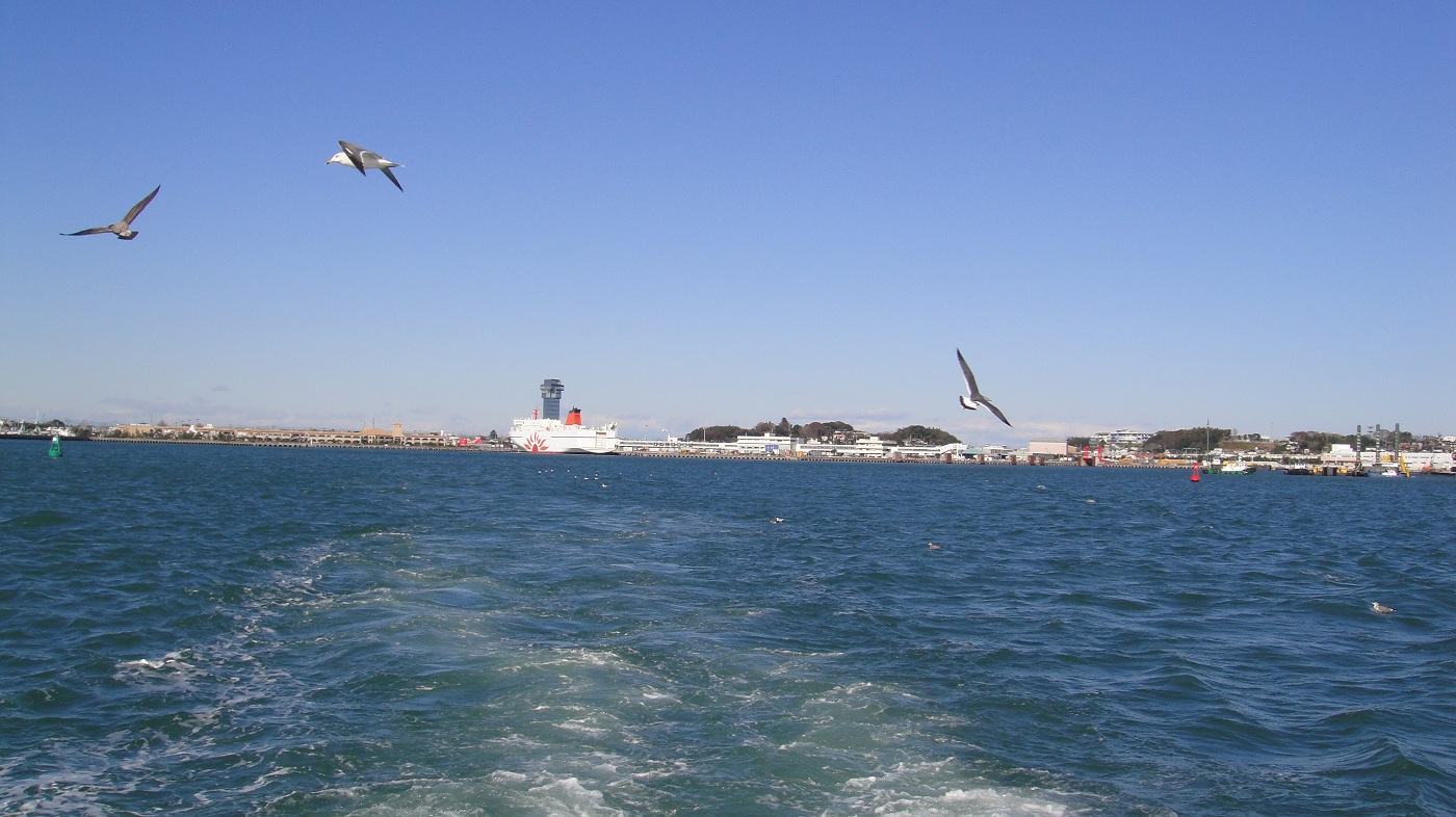 d0162864_1313265.jpg