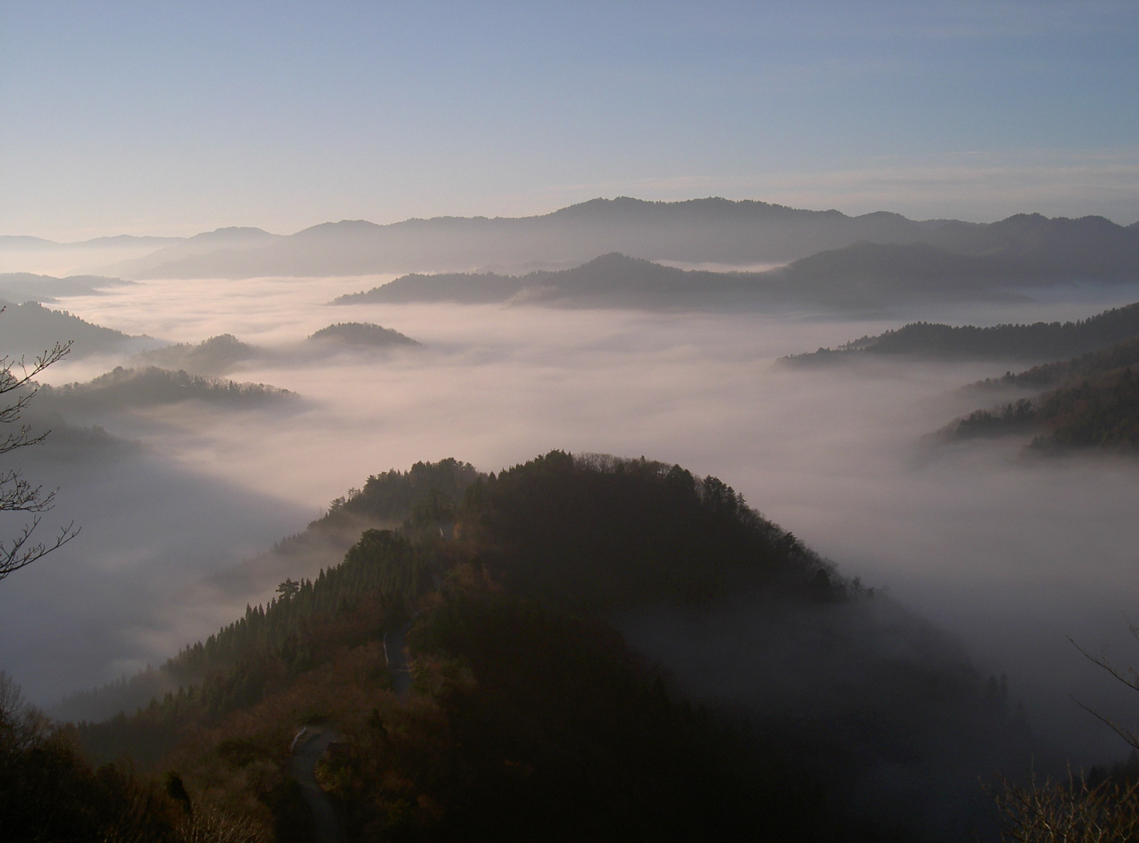 a0181673_253668.jpg