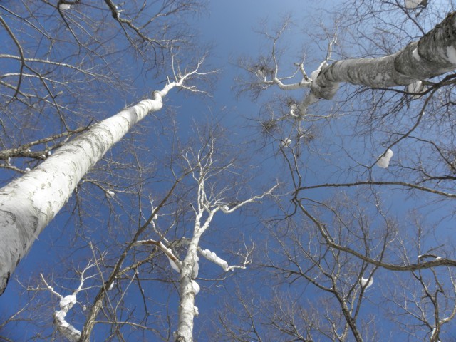 d0134473_16394771.jpg