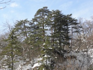 d0134473_1643987.jpg