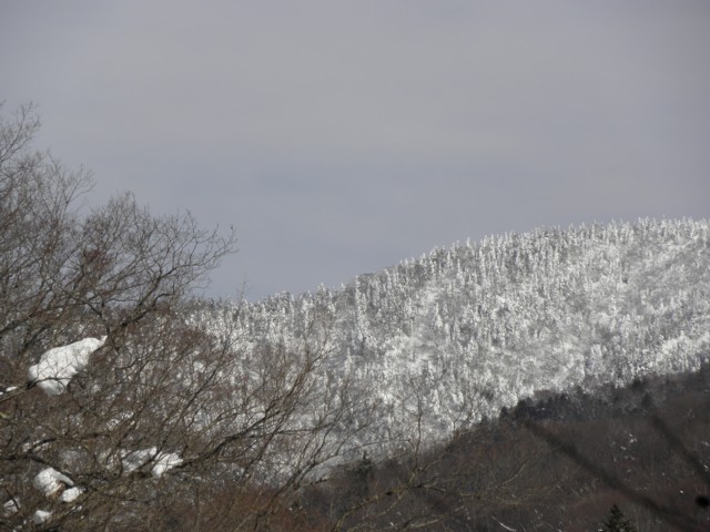 d0134473_1644571.jpg