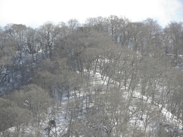 d0134473_16564645.jpg