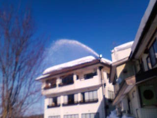 d0182179_1813259.jpg