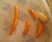 f0237680_21445070.jpg