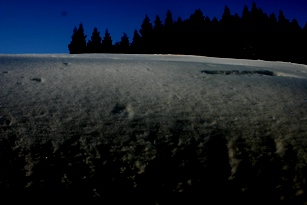 c0057781_11195085.jpg