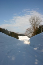 c0057781_11302140.jpg