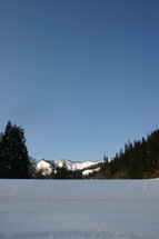 c0057781_11303253.jpg