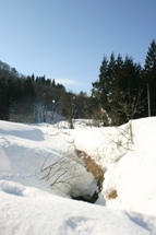 c0057781_11304751.jpg