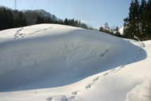 c0057781_11311247.jpg