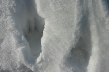 c0057781_11315611.jpg