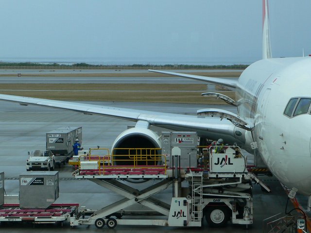 b0042882_041521.jpg