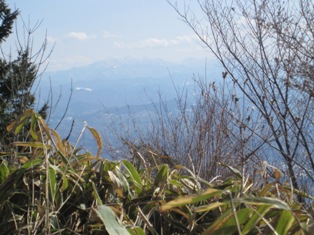 b0050787_16264843.jpg