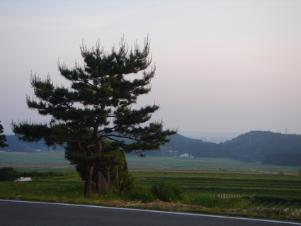c0228393_10252180.jpg