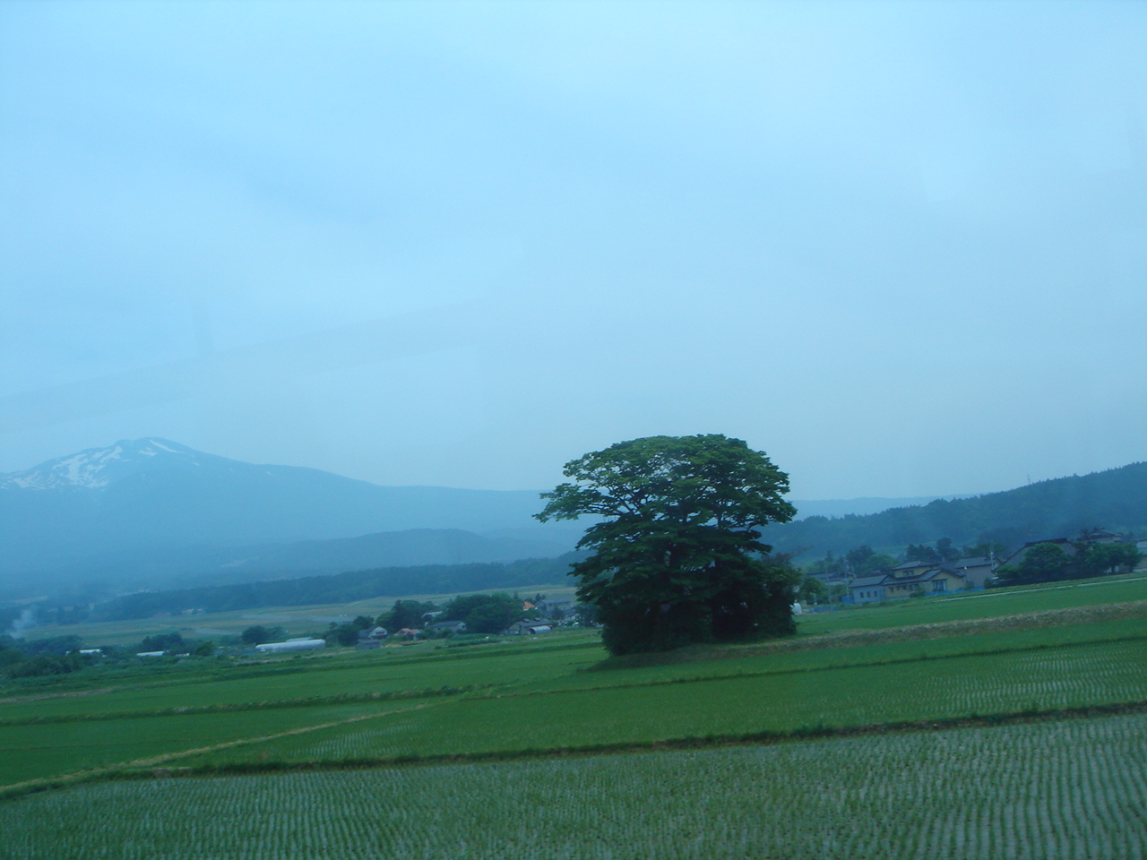 c0228393_1026481.jpg