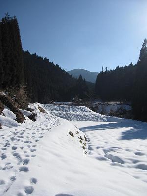 c0118495_22202438.jpg