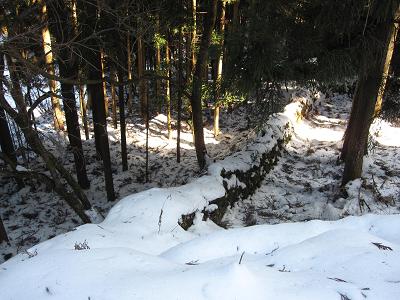 c0118495_22243950.jpg
