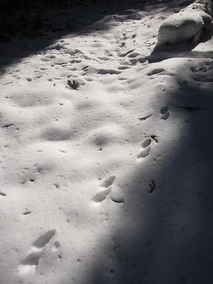 c0118495_22264476.jpg