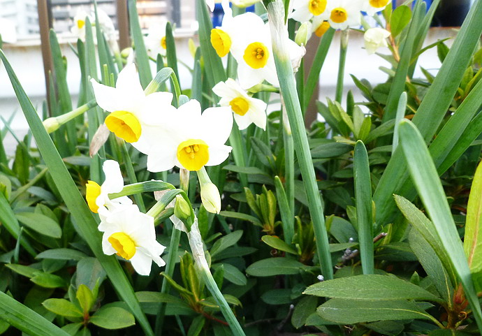 c0138198_2101473.jpg