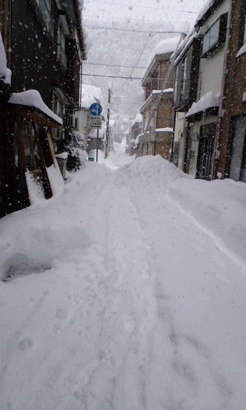 d0093903_014976.jpg
