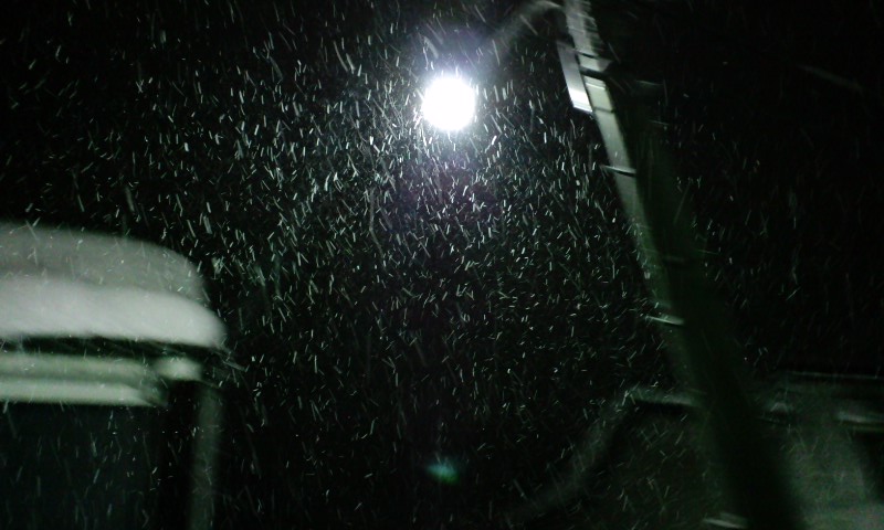 d0093903_0182482.jpg