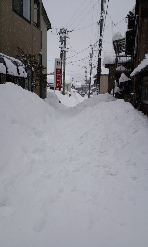 d0093903_041193.jpg