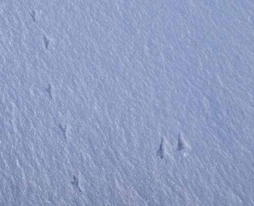 d0126508_2182367.jpg
