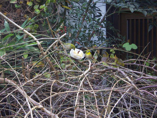 f0173908_1012285.jpg