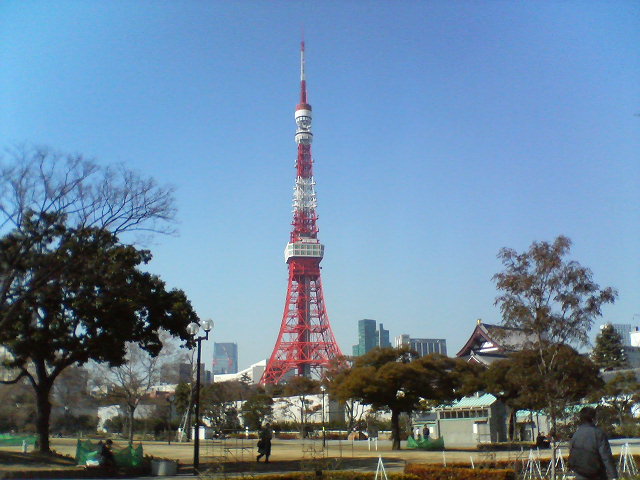 b0027009_884488.jpg