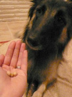 f0227709_10121723.jpg
