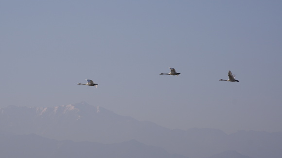 f0233414_21352069.jpg