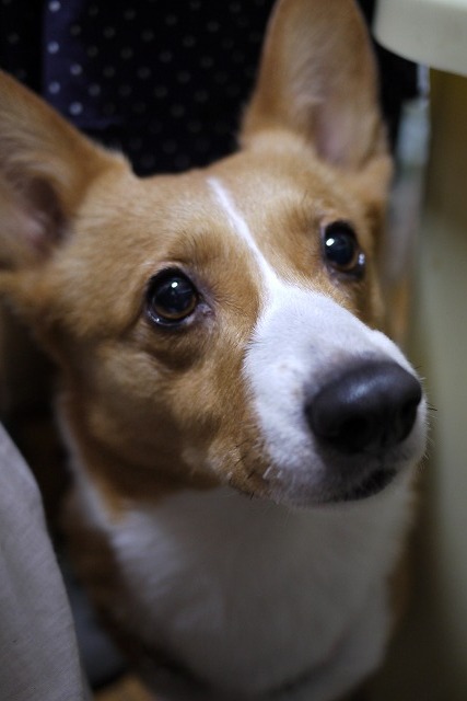 c0127617_16123411.jpg