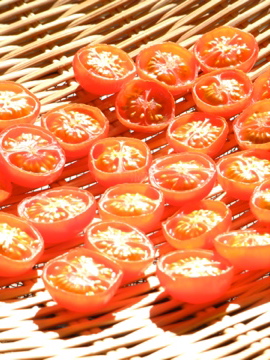 f0235919_1113139.jpg