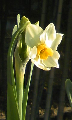 d0024220_15132124.jpg
