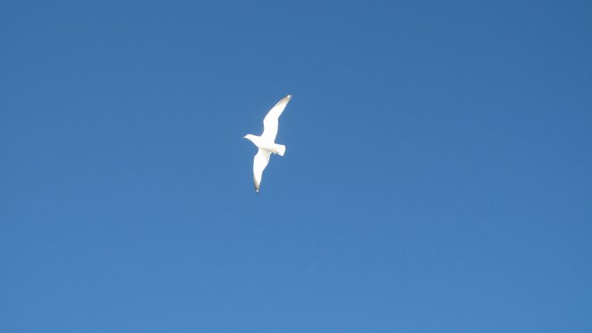 b0176023_7442671.jpg