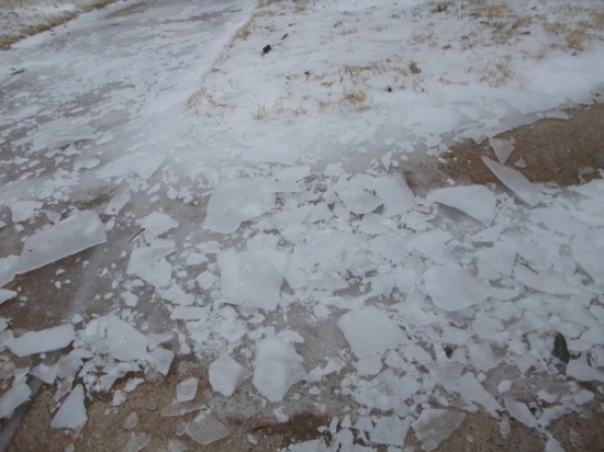 f0238932_97049.jpg