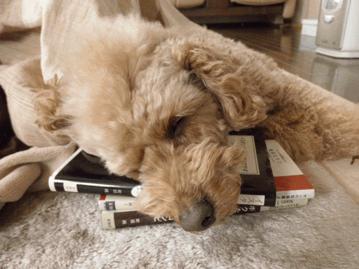 c0136736_18581245.gif